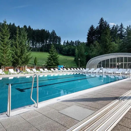 Hotel Horsky Remata 3*