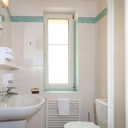 Hotel Horsky Remata 3*