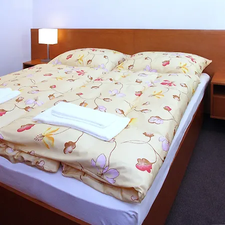 Horsky Remata 3* Raztocno