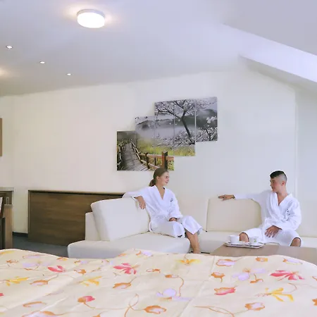 Hotel Horsky Remata 3*