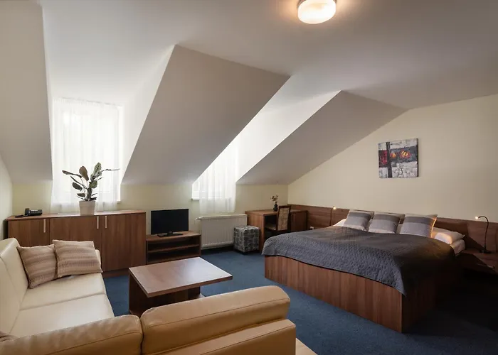 Hotel Horsky Remata 3*