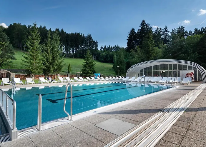 Hotel Horsky Remata 3*