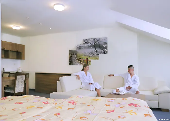 Hotel Horsky Remata 3*